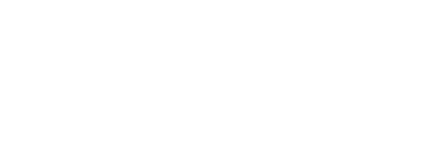 DP Custom Knives